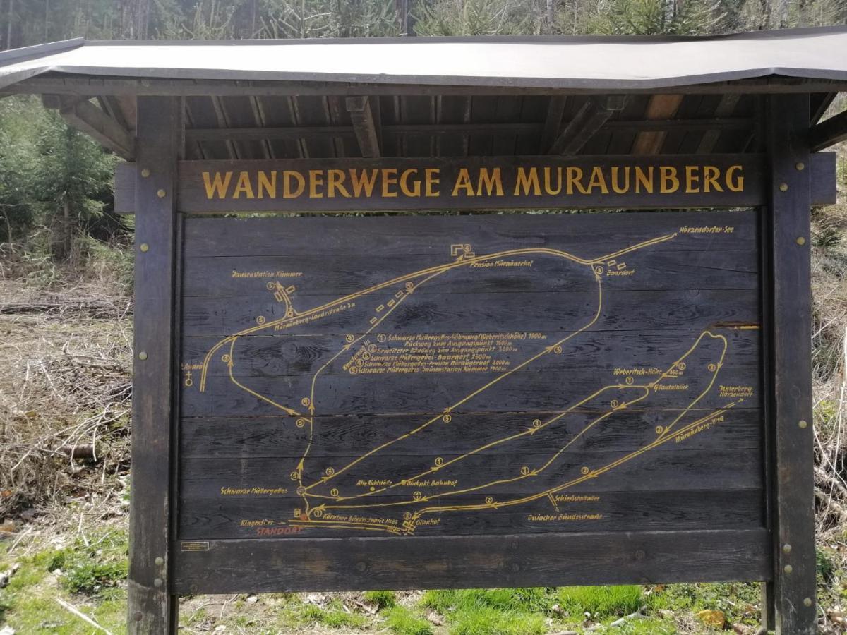 Ferienwohnung Mit Pool In Woerthersee Naehe Dellach  Exteriör bild